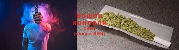 PSILOCYBIN Богданович