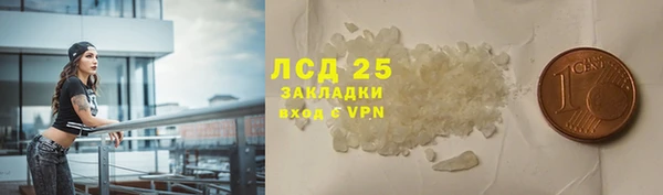 PSILOCYBIN Богданович