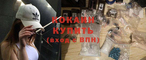 PSILOCYBIN Богданович